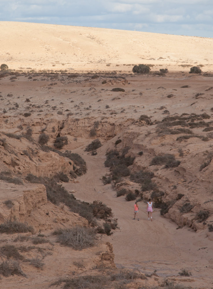 Fuerteventura Canary Islands 